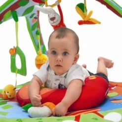 Chicco Spieldecke Und Babygym Tierchenwiese -Ausgewähltes Haushaltswarengeschäft 000.02573.000.000 3 59434 900x900