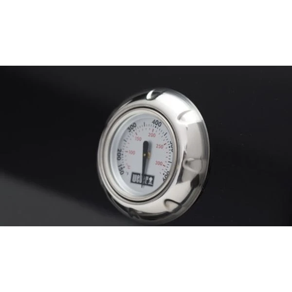 Weber Spirit E-310 Classic 9 Weber Spirit E-310 Classic – Bild 7