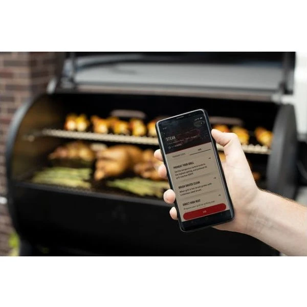 Weber Smokefire EX6 GBS - Aktion 10 Weber Smokefire EX6 GBS - Aktion – Bild 8