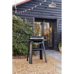 Weber Lumin Mit Stand Elektrogrill Schwarz 19 Weber Lumin Mit Stand Elektrogrill Schwarz -Ausgewähltes Haushaltswarengeschäft 92010901ym6 jpg 181744 800x1200 1