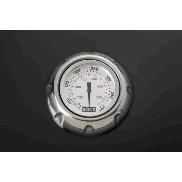 Weber Summit E-670 GBS Black 6 Weber Summit E-670 GBS Black – Bild 4