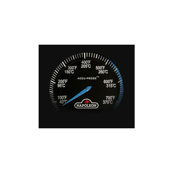 Napoleon Legend 485 Edelstahl 9 Napoleon Legend 485 Edelstahl – Bild 7