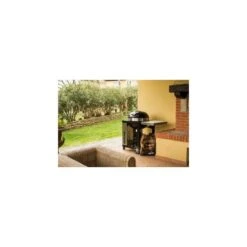 Napoleon Holzkohle Kugelgrill Ø57cm In Rollwagen 19 Napoleon Holzkohle Kugelgrill Ø57cm In Rollwagen -Ausgewähltes Haushaltswarengeschäft pro22k cart 6 114904 318x212