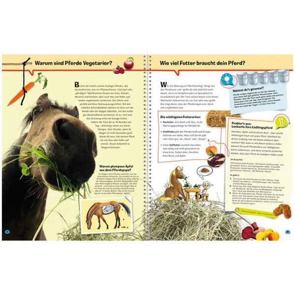 Ravensburger WWW ProfiWissen 4: Pferde 5 Ravensburger WWW ProfiWissen 4: Pferde – Bild 3