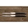 Sknife Steakmesser 2er Set Esche Schwarz -Ausgewähltes Haushaltswarengeschäft s 201e 1 145480 663x372