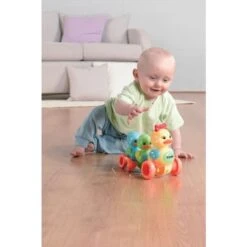 Tomy Lustige Entenfamilie