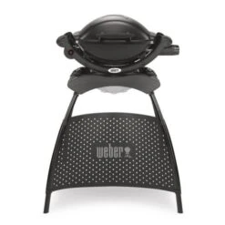 Weber Q 1000 Stand Gas Grill